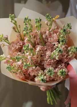 Bouquet of cream mattiolla