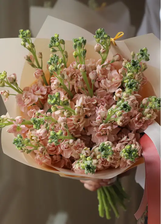 Bouquet of cream mattiolla