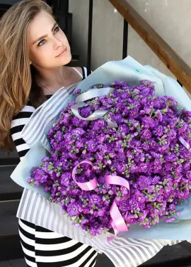 Bouquet of purple mattiolla