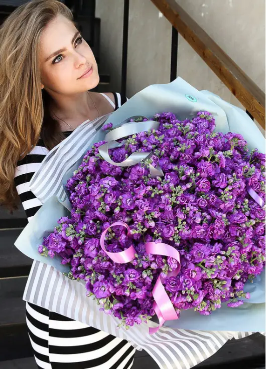Bouquet of purple mattiolla Bouquet of purple mattiolla