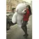 A huge teddy bear