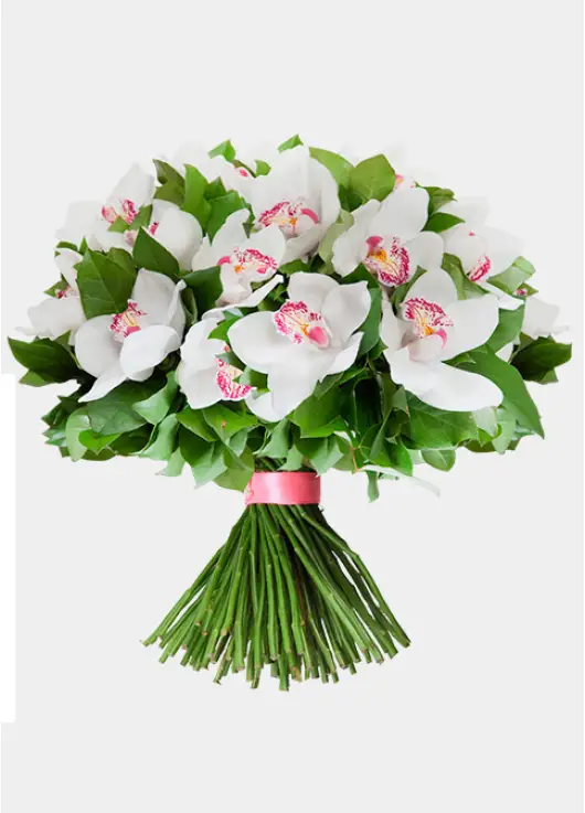 Orchids & roses