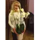 Orchid in a pot