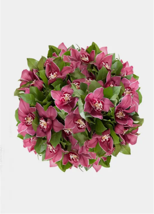 Orchids & roses