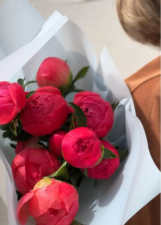 crimson Peonies Dnipro crimson Peonies Dnipro