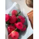 crimson Peonies Dnipro crimson Peonies Dnipro