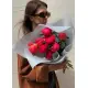 crimson Peonies Dnipro crimson Peonies Dnipro