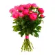 crimson Peonies Dnipro crimson Peonies Dnipro