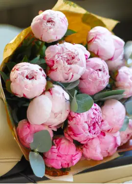 Bouquet of local peonies (mix) Dnipro