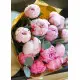 Peonies Peonies