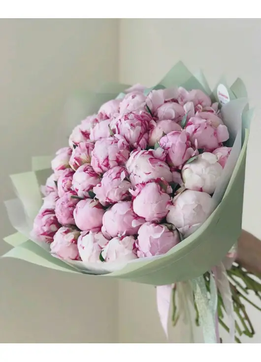 Pink Peonies Dnipro