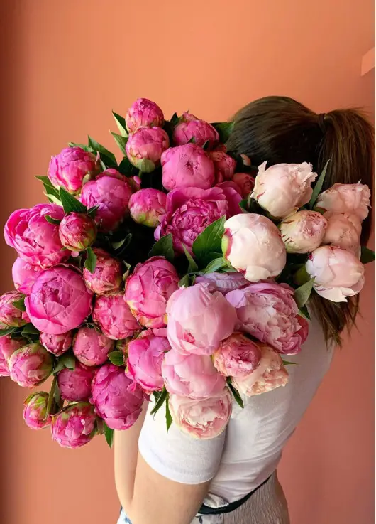 Pink Peonies Dnipro