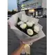 White Peonies Dnipro White Peonies Dnipro