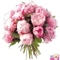 Pink peonies