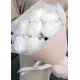 White Peonies Dnipro White Peonies Dnipro