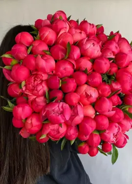 crimson Peonies Dnipro