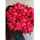 crimson Peonies Dnipro crimson Peonies Dnipro