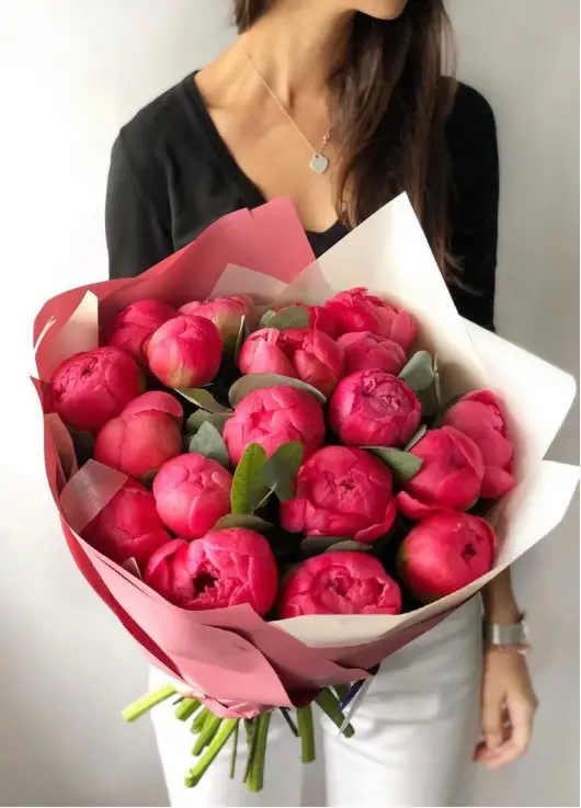 crimson Peonies Dnipro crimson Peonies Dnipro