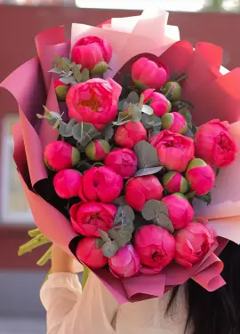 Peonies 25 pcs