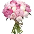 Local peonies