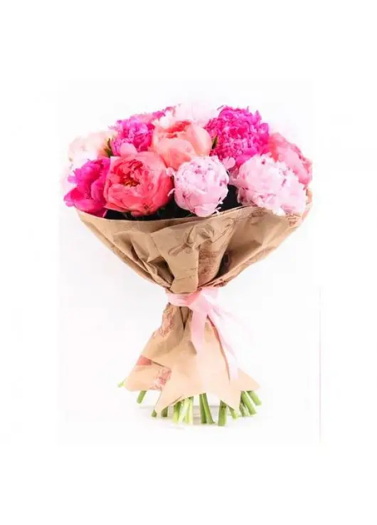 Peonies Peonies