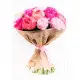 Peonies Peonies