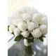 White Peonies Dnipro White Peonies Dnipro