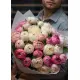 Bouquet of 25 local peonies