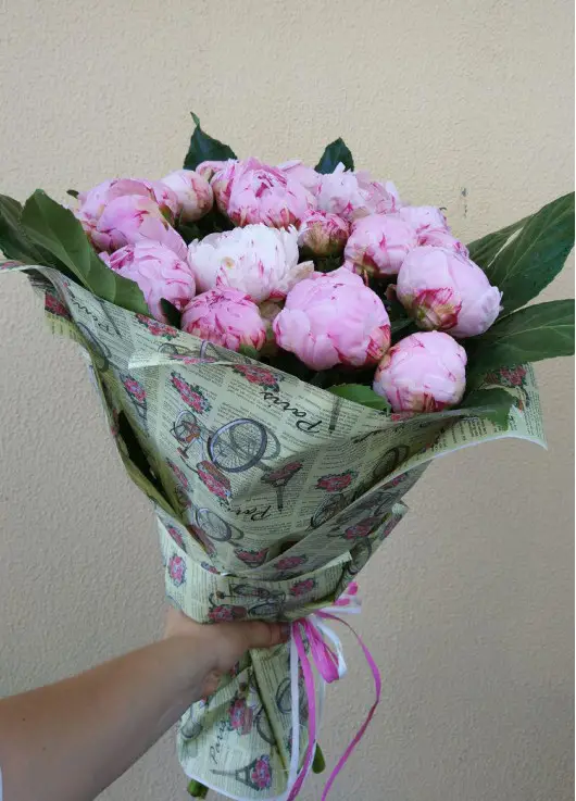 Peonies Peonies