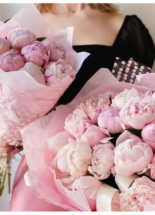 Peonies Peonies