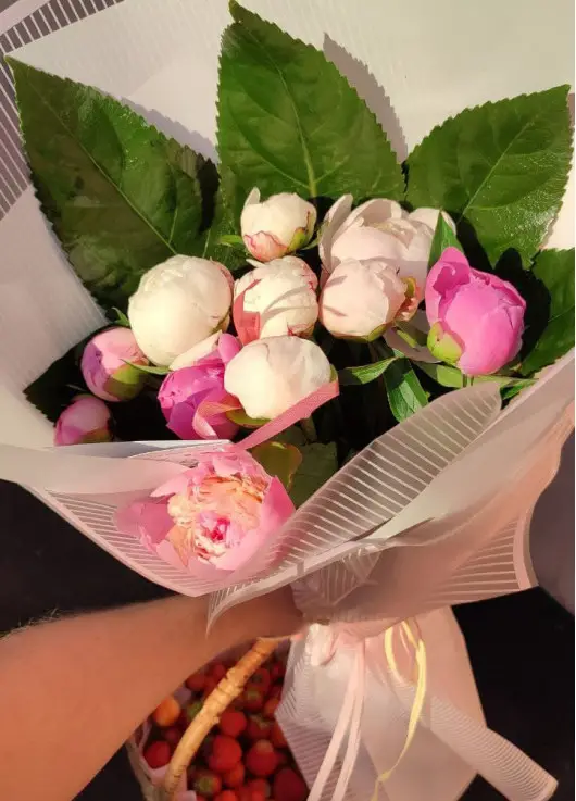 Peonies Peonies