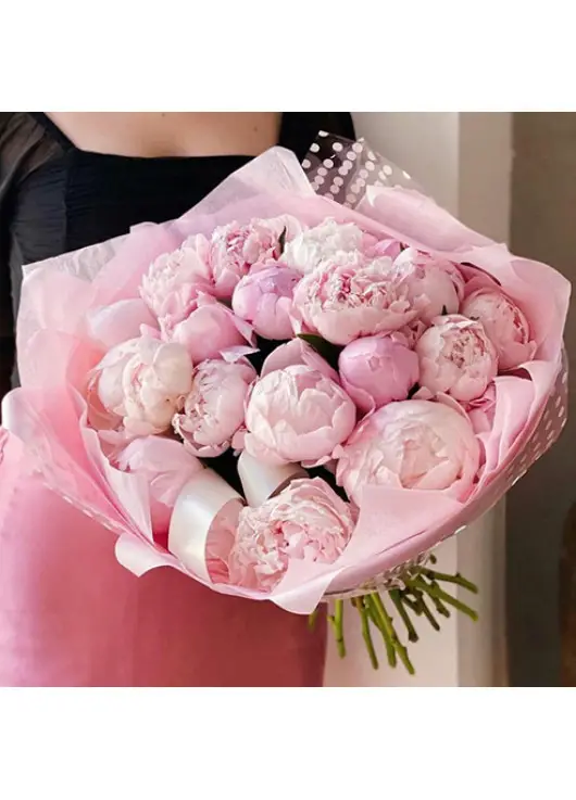 Peonies Peonies