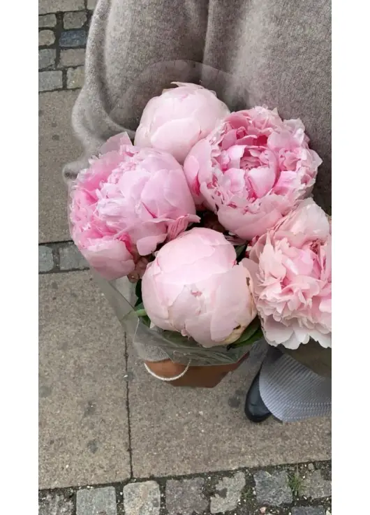 Bouquet of 5 pink peonies