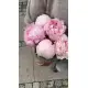 Bouquet of 5 pink peonies