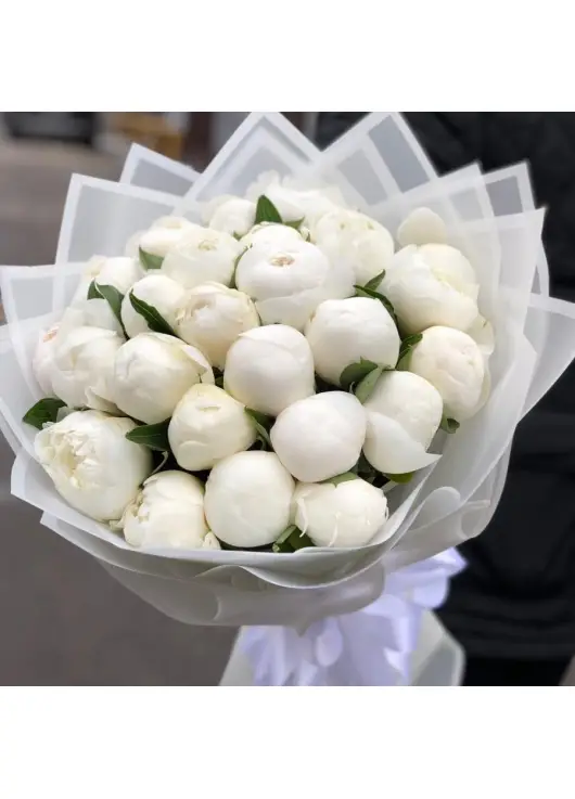 White Peonies Dnipro White Peonies Dnipro