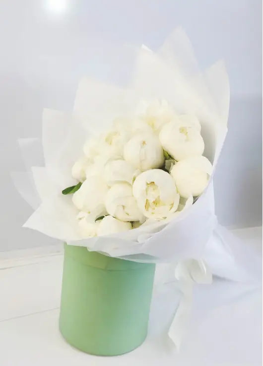 White Peonies Dnipro White Peonies Dnipro