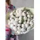 White Peonies Dnipro White Peonies Dnipro