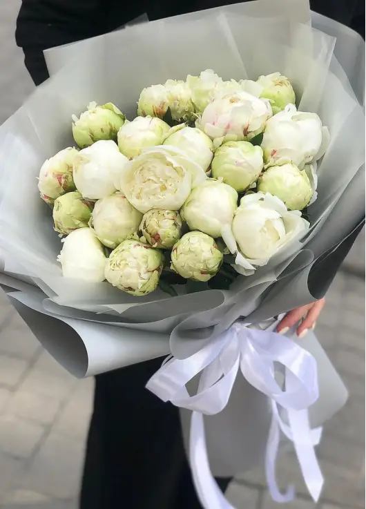 White Peonies Dnipro White Peonies Dnipro
