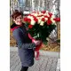 51 Holland roses