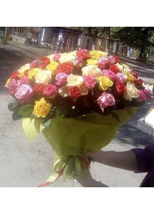 101 multi-colored roses 101 multi-colored roses