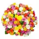 101 multi-colored roses 101 multi-colored roses