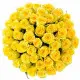 101 yellow roses