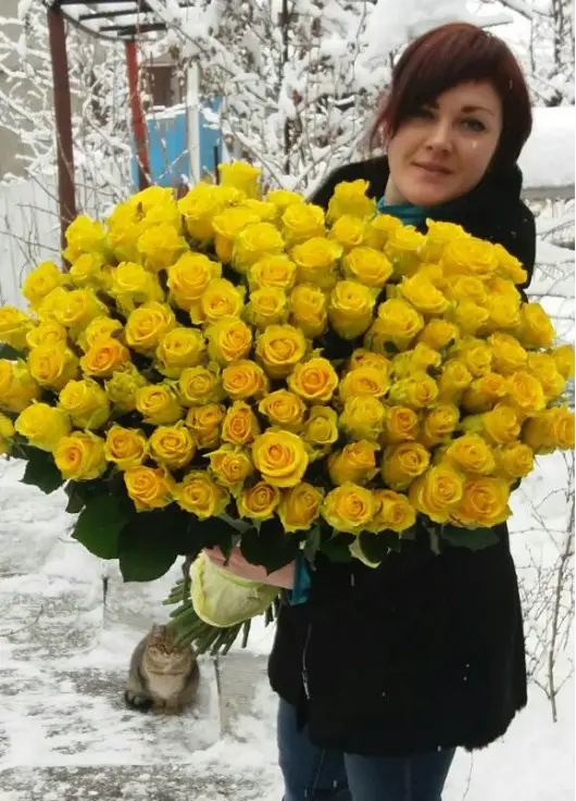 101 yellow roses