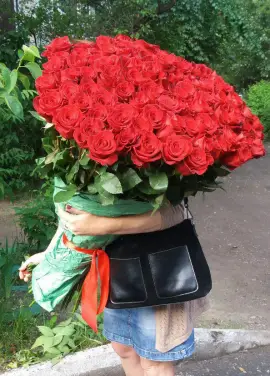 101 red roses 