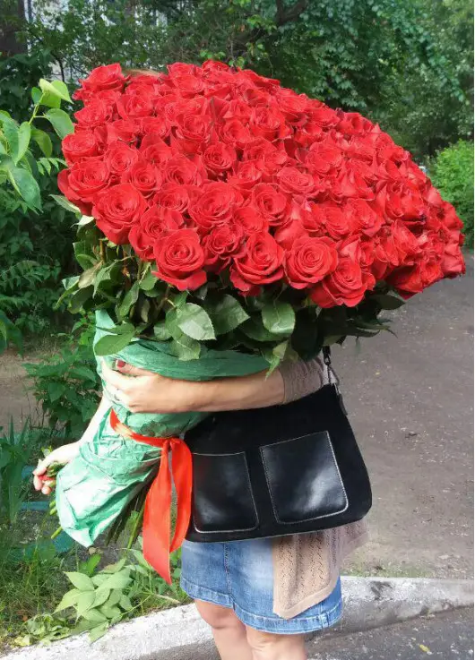 101 red roses 101 red roses