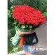 101 red roses 101 red roses