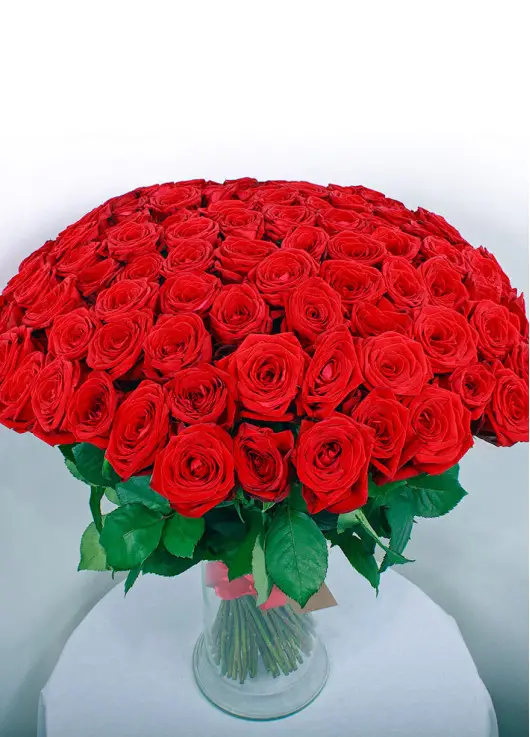 101 red roses 101 red roses