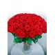 101 red roses 101 red roses