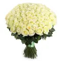 101 white roses
