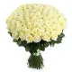 101 white rose "Classic" 101 white rose "Classic"